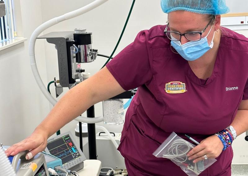 Dearborn Family Pet Care Dearborn veterinarians